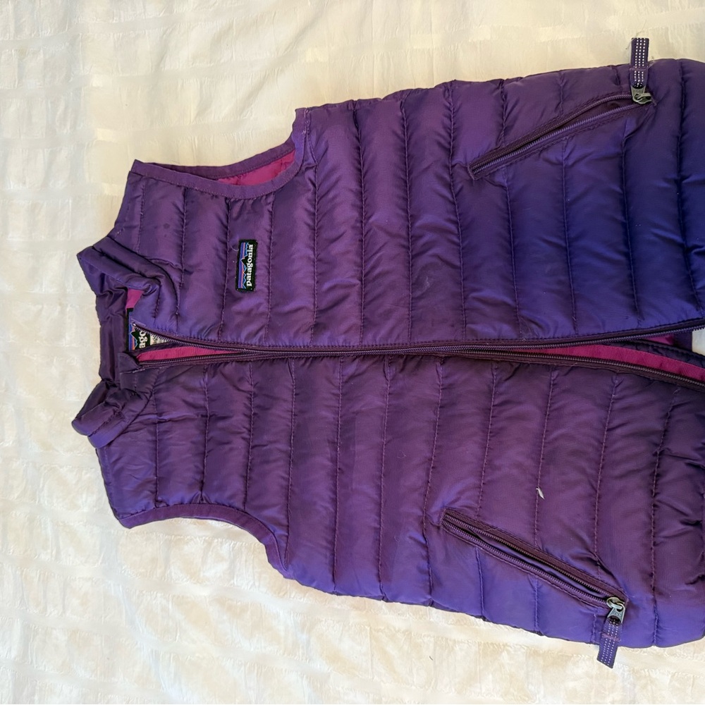 Patagonia Vibrant Purple Vest